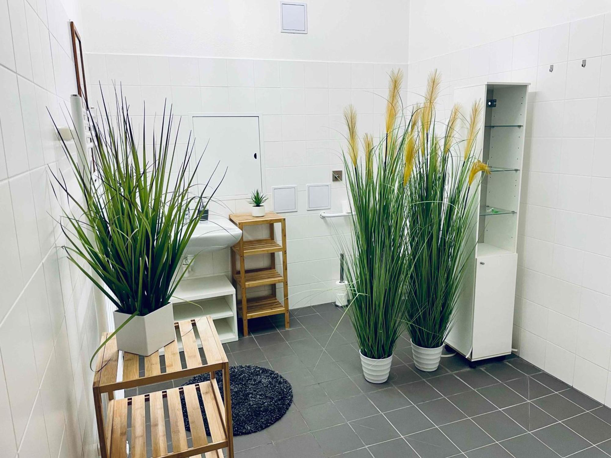 Campea Business Apartments ブルノ 部屋 写真